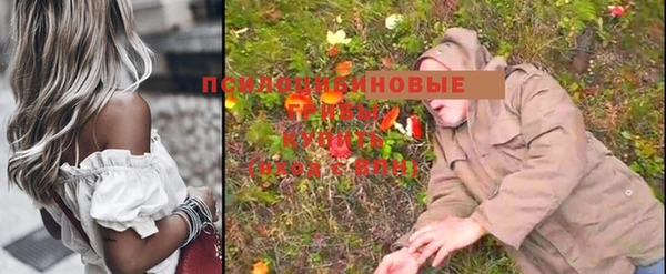 амф Алексин