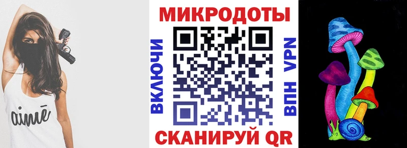 где купить наркоту  Кудрово  Псилоцибиновые грибы мицелий 